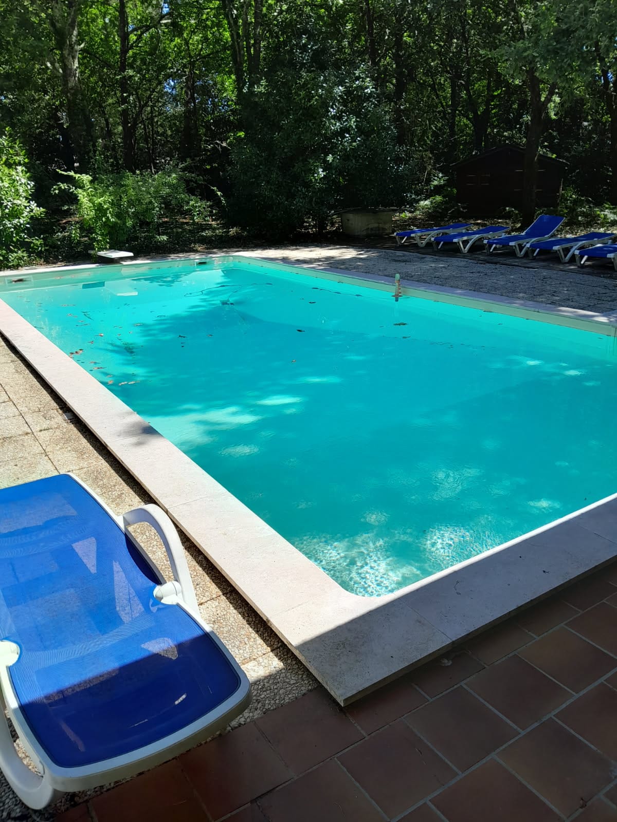 Vider sa piscine en été 2