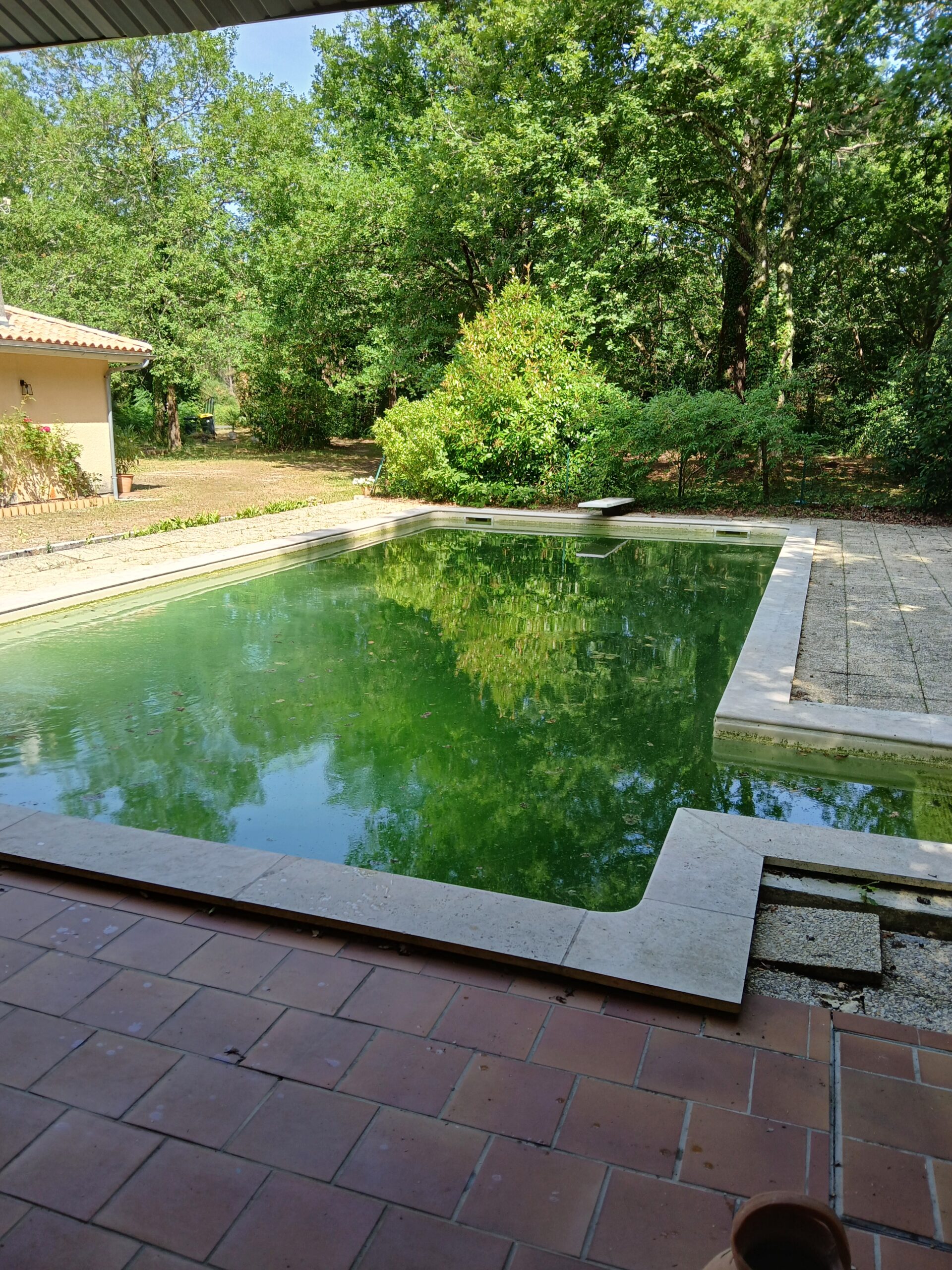 Vider sa piscine en été